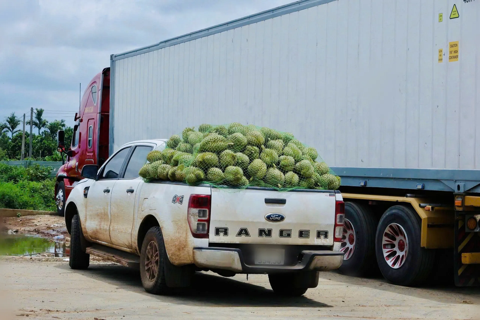 Thủ phủ sầu riêng “mắc kẹt” gần 2.000 container, Hiệp hội Sầu riêng Đắk Lắk kiến nghị gì?