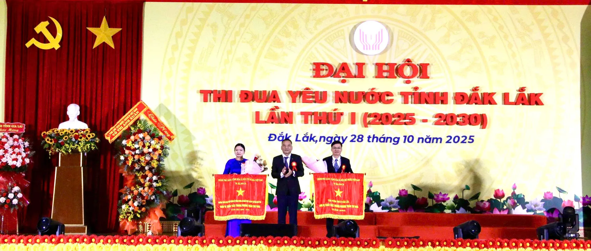 Hình ảnh 7