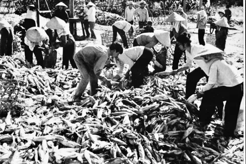 Bài 3: Vượt qua gian khó, kiến tạo những thành công, truyền cảm hứng cho hàng triệu người dân