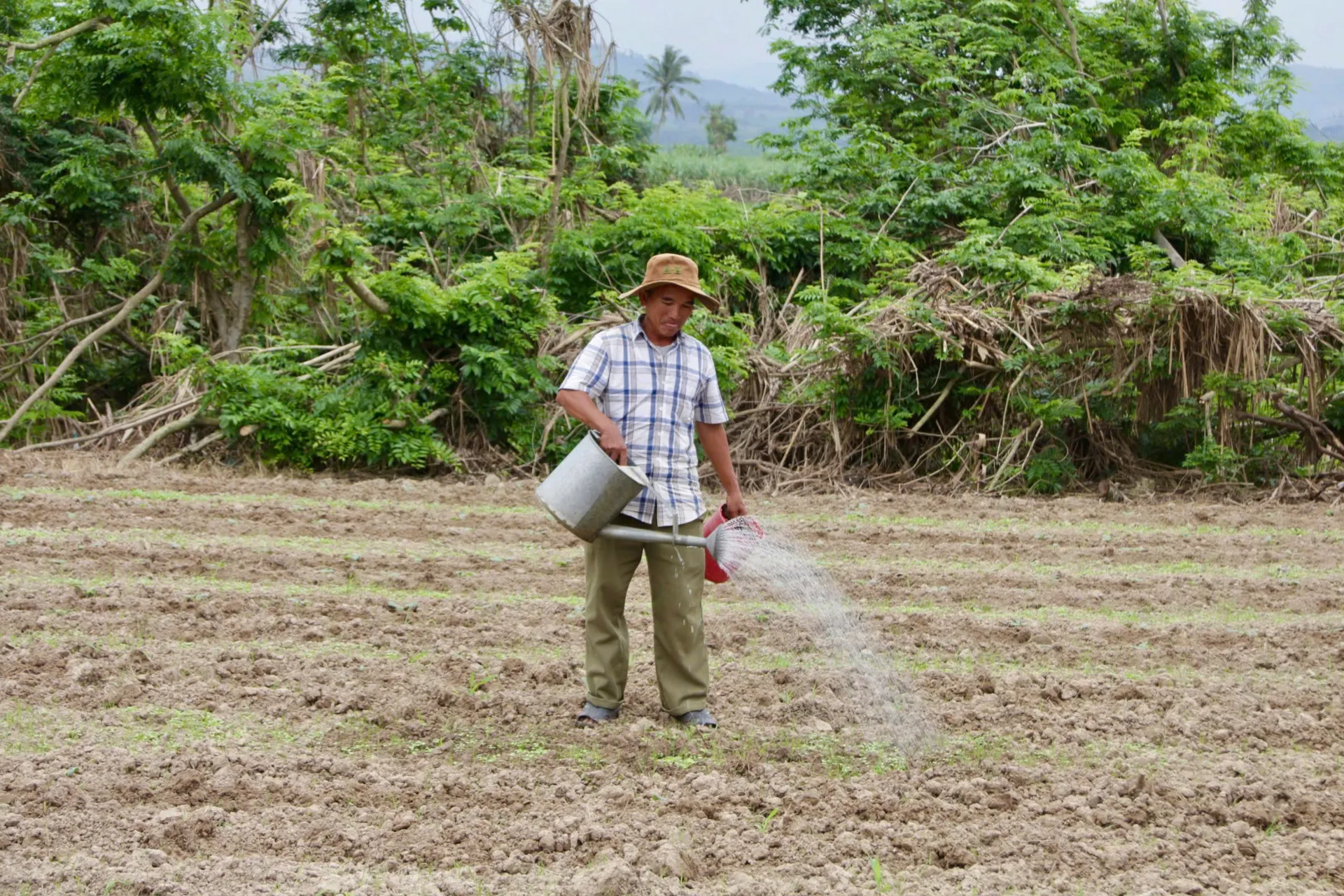 Đắk Lắk: vùng hạ lưu Thủy điện Sông Ba Hạ hồi sinh sau lũ dữ