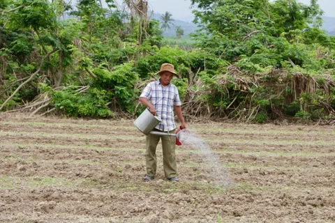 Đắk Lắk: vùng hạ lưu Thủy điện Sông Ba Hạ hồi sinh sau lũ dữ