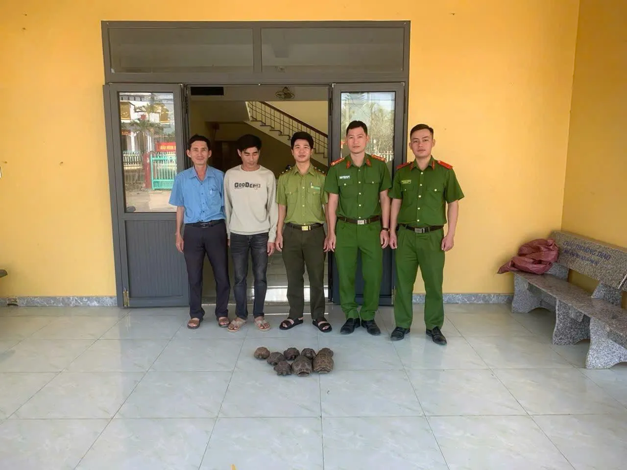 Đắk Lắk: người dân tự nguyện bàn giao 8 cá thể rùa quý hiếm 