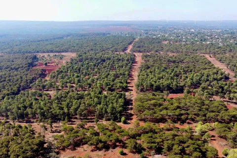 Gia Lai: chấp thuận nhà đầu tư mới cho dự án sân golf Đăk Đoa