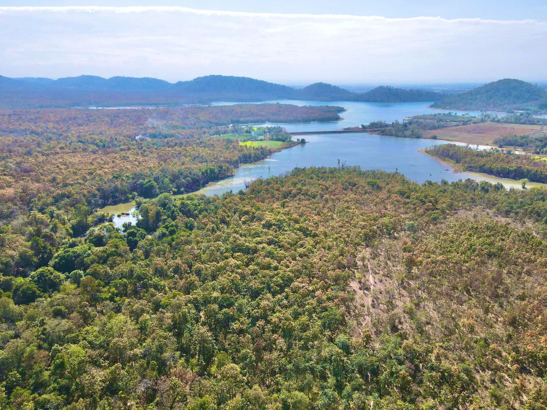 Rừng khộp Buôn Đôn - Bản giao hưởng sắc màu giữa đại ngàn cao nguyên
