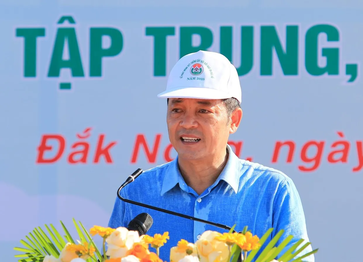 Hình ảnh 3