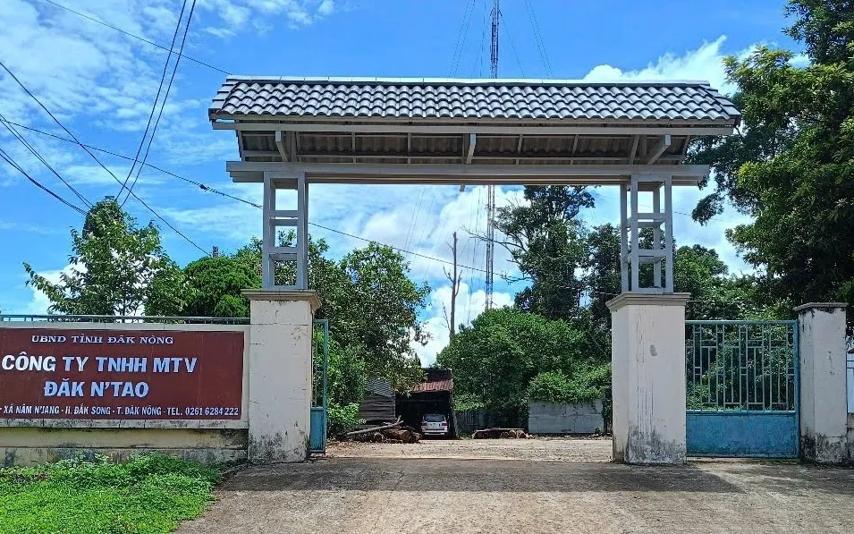 Hình ảnh 3