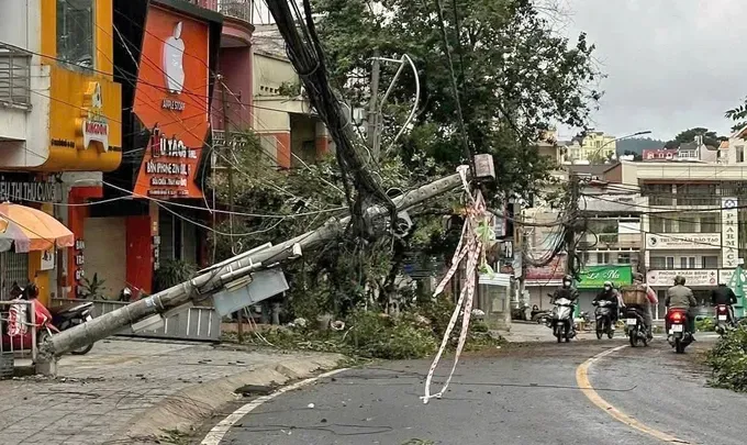 Hình ảnh 2