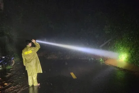 Lâm Đồng: đèo Gia Bắc lưu thông trở lại từ 17 giờ ngày 8/12, hạn chế tải trọng