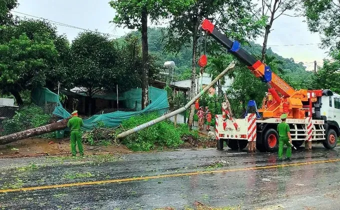 Hình ảnh 3