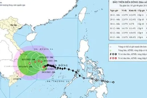 Lâm Đồng kêu gọi toàn bộ tàu thuyền vào nơi trú ẩn an toàn để ứng phó bão số 15