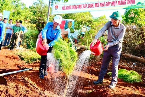 Đắk Nông phát động Tết trồng cây nhớ ơn Bác Hồ năm 2025