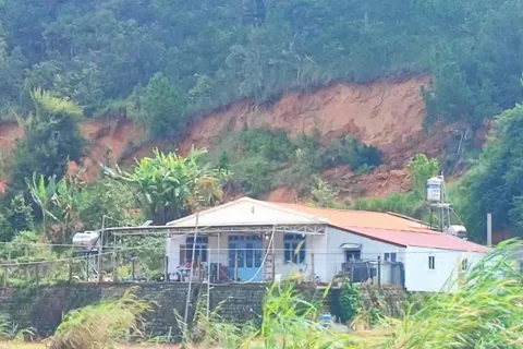 Lâm Đồng: cưỡng chế di dời các hộ dân do sạt lở lan rộng tại đồi thông