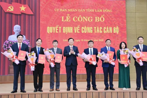 Lâm Đồng: công bố quyết định điều động, bổ nhiệm cán bộ