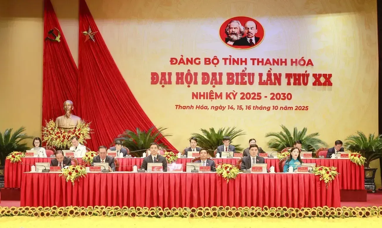 Hình ảnh 2