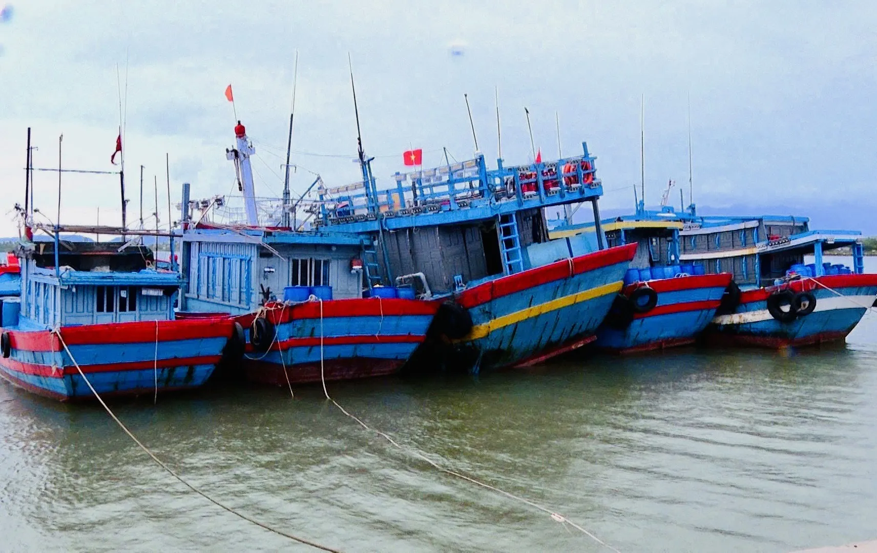 Hình ảnh 1