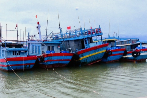 Ứng phó với bão số 1, Quảng Nam yêu cầu kiểm soát tàu thuyền