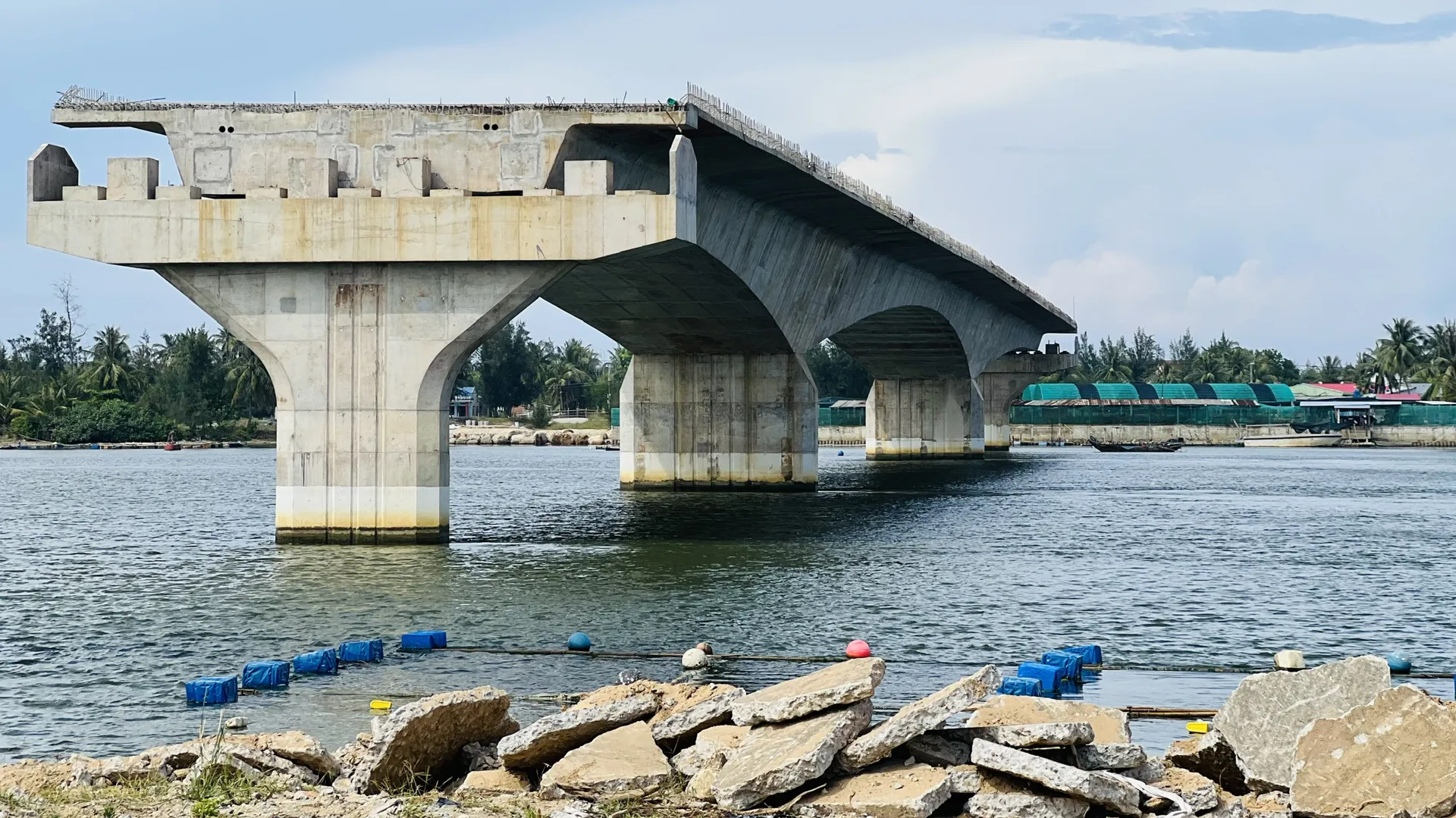 Hình ảnh 11