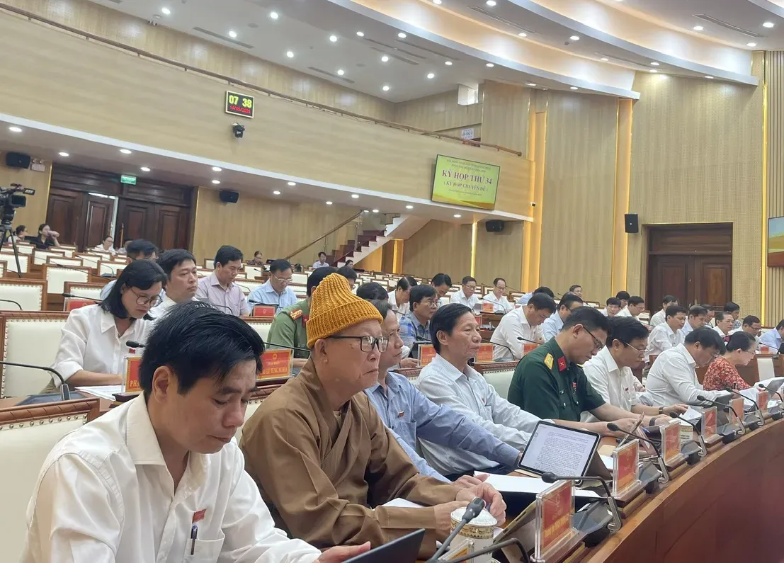 Quảng Ngãi thông qua danh mục 12 dự án cần chuyển đổi lúa, đất rừng