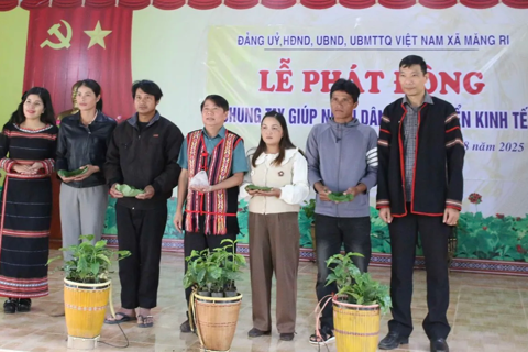 Chung tay giúp người dân vùng thủ phủ sâm Ngọc Linh vực dậy sau thiên tai
