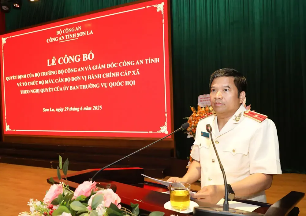 Hình ảnh 1