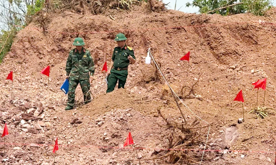 Hình ảnh 1