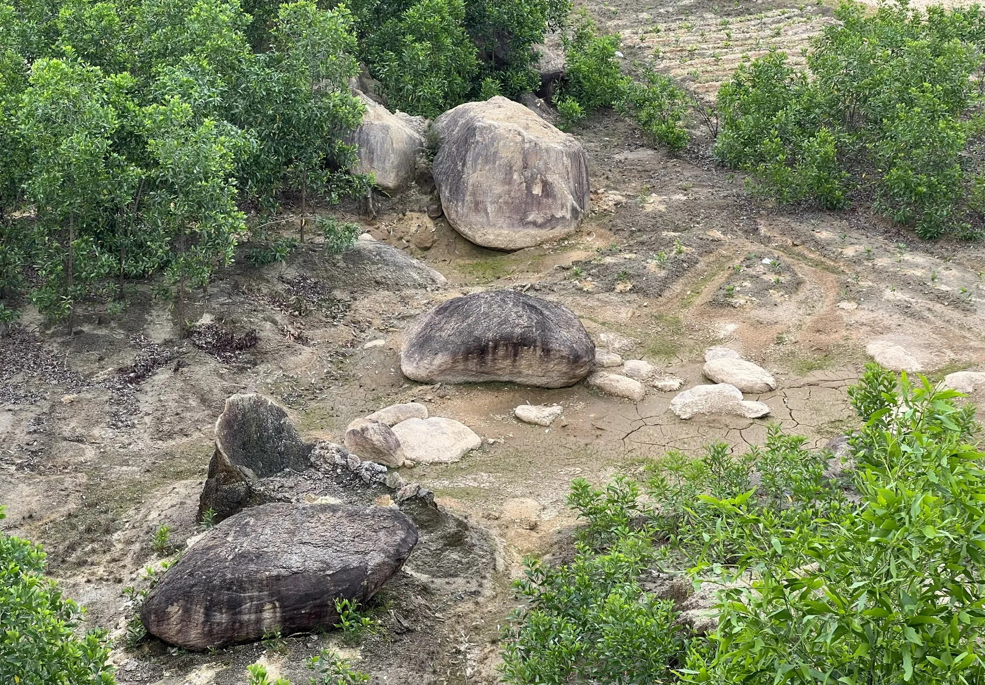 Hình ảnh 5