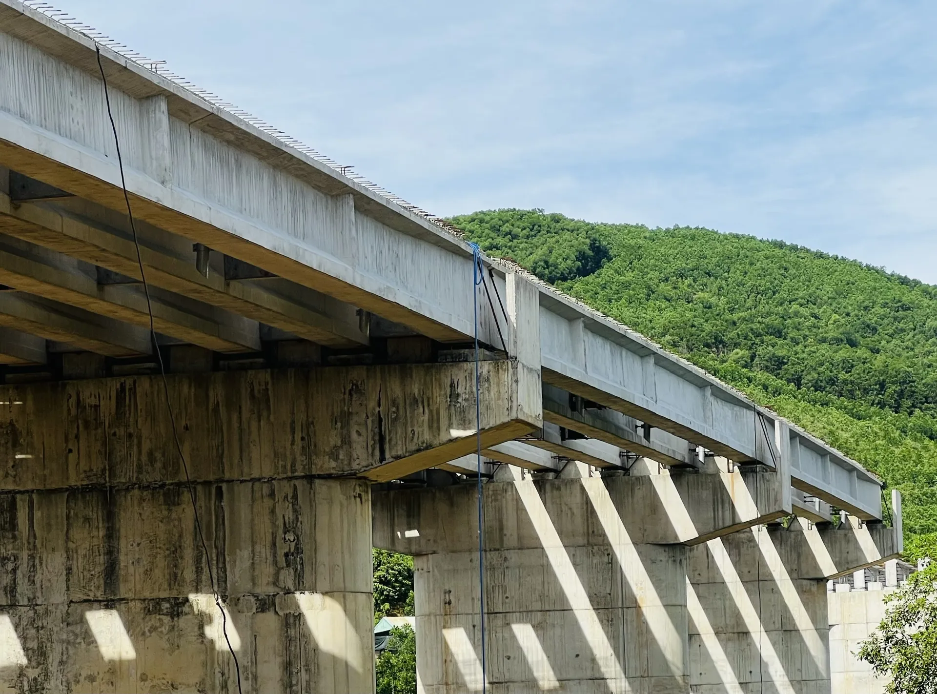 Hình ảnh 5