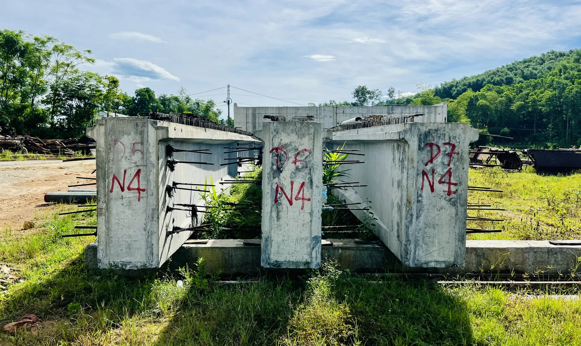 Hình ảnh 7