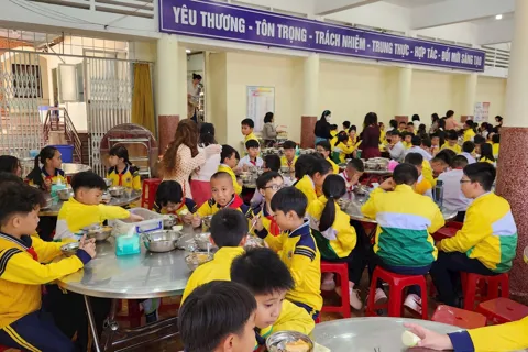 Lâm Đồng siết chặt kiểm soát bếp ăn trường học 