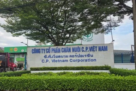 Hình ảnh 1