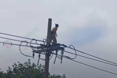 TP Hồ Chí Minh: người phụ nữ trèo lên đường dây điện rồi rơi xuống đất nguy kịch
