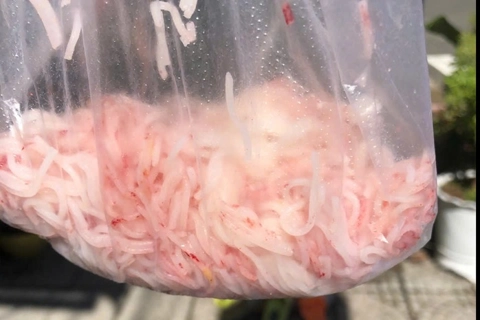 Vụ bún tươi chuyển màu đỏ ở Đà Nẵng: cơ sở sản xuất bị tạm dừng hoạt động