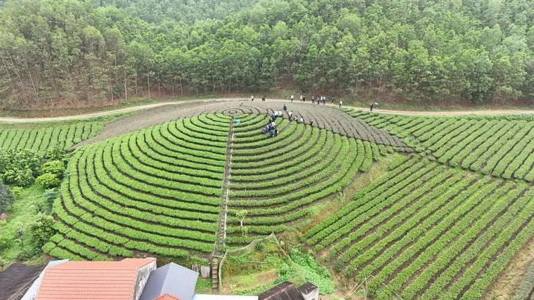 OCOP Thái Nguyên: nâng tầm nông sản giữa thời hội nhập