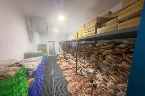 Hơn 50 tấn thịt heo bị “phù phép” thành thịt đà điểu, dê, nai, tuồn ra thị trường dịp Tết