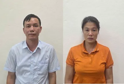 Quảng Ninh: khởi tố Chủ tịch HĐQT kiêm Giám đốc Công ty MTV Lâm nghiệp Hoành Bồ
