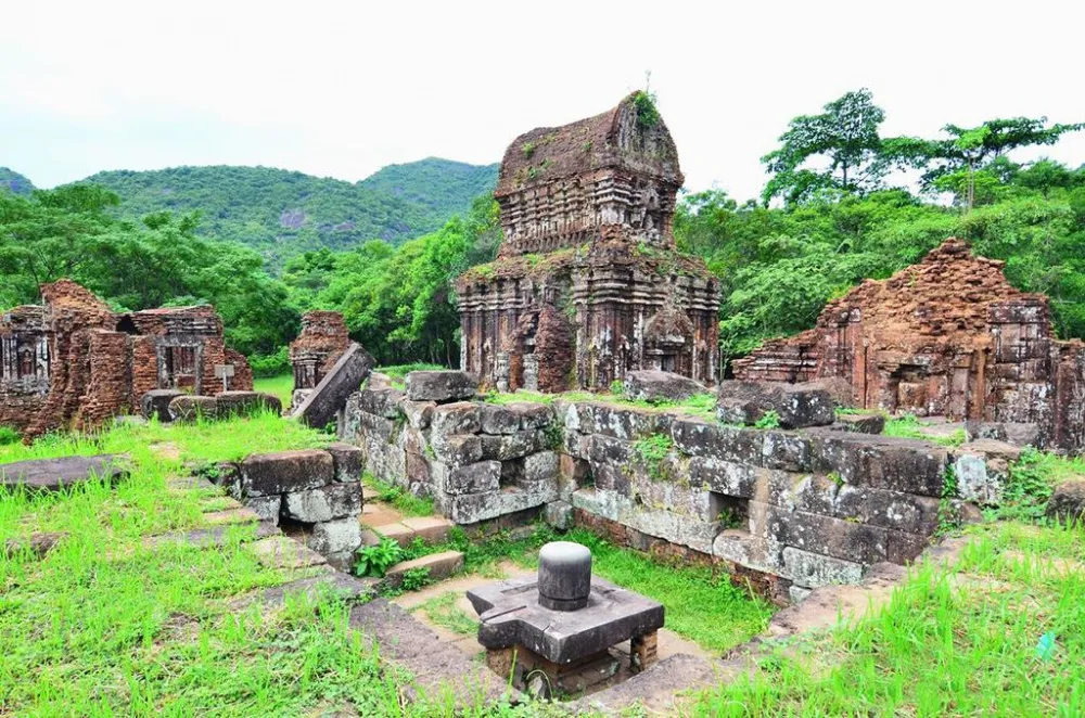 Hình ảnh 1