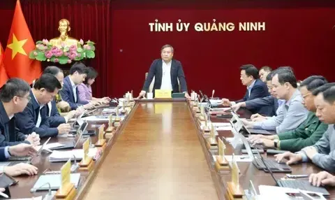 Quảng Ninh hỗ trợ tỉnh Lâm Đồng 50 tỷ đồng để khắc phục hậu quả mưa lũ