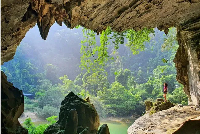 Hình ảnh 1