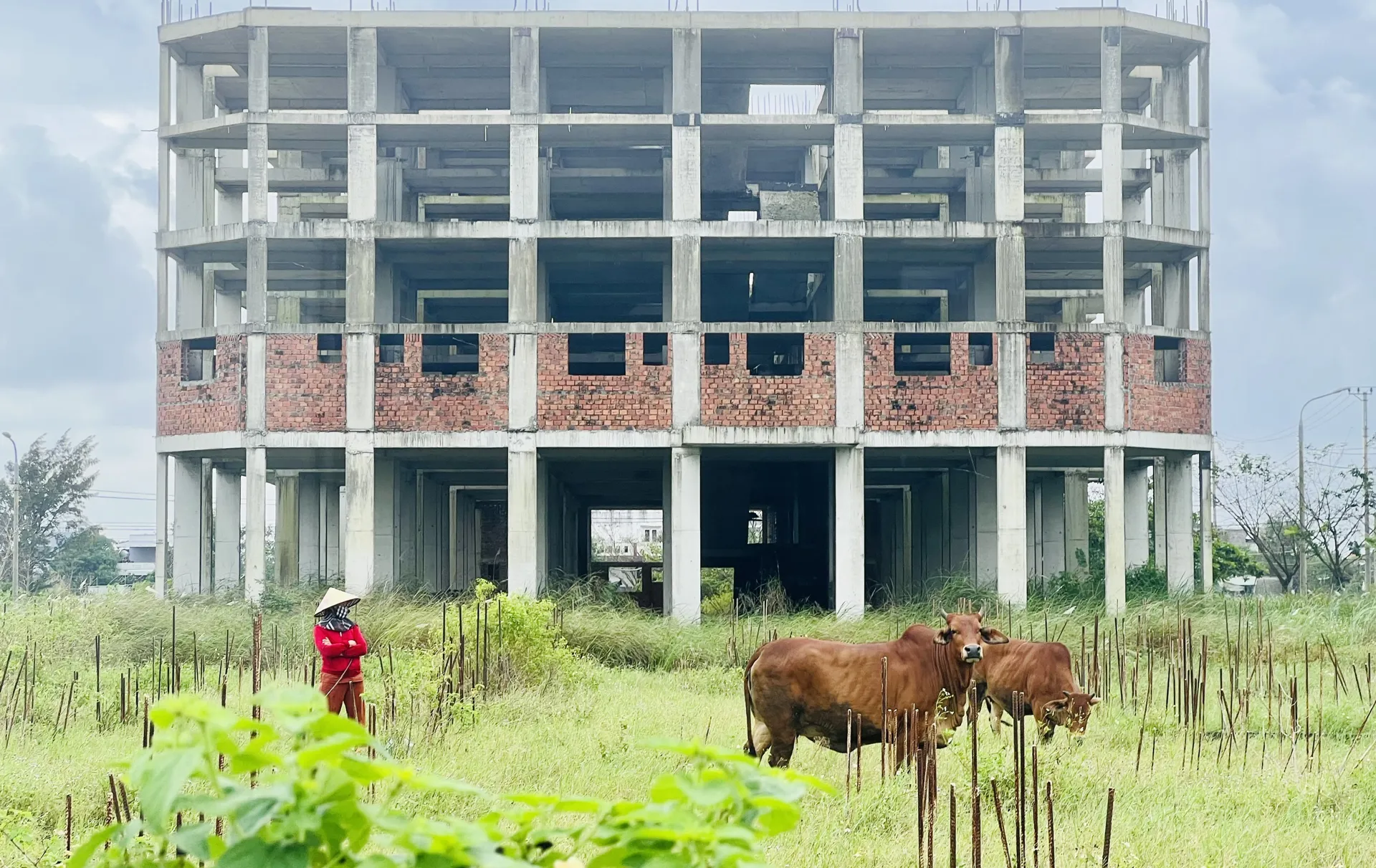 Hình ảnh 2
