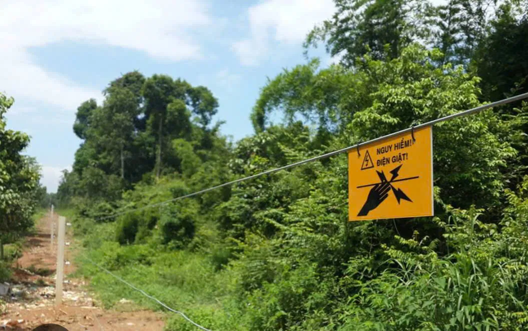 Hình ảnh 2