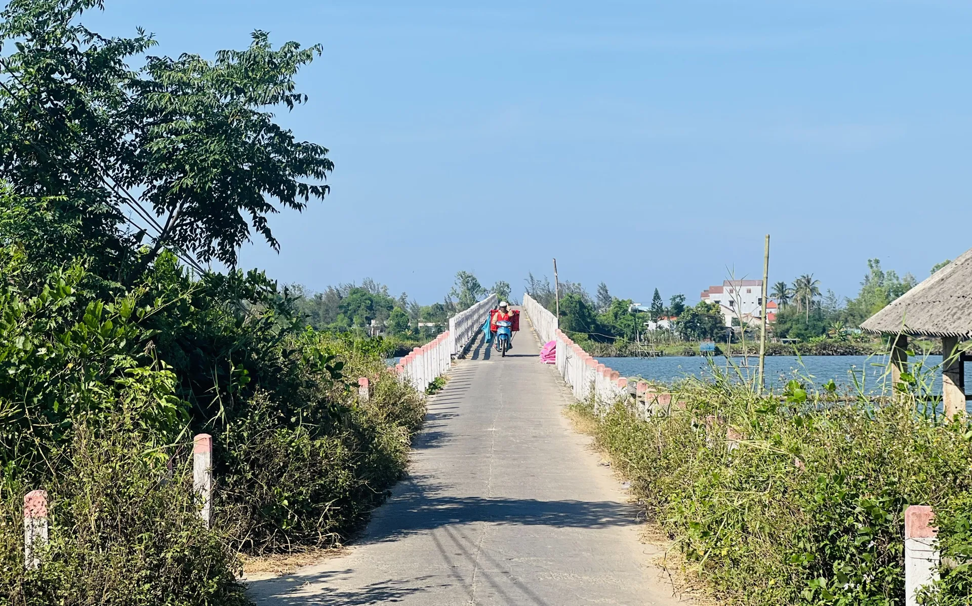 Hình ảnh 2