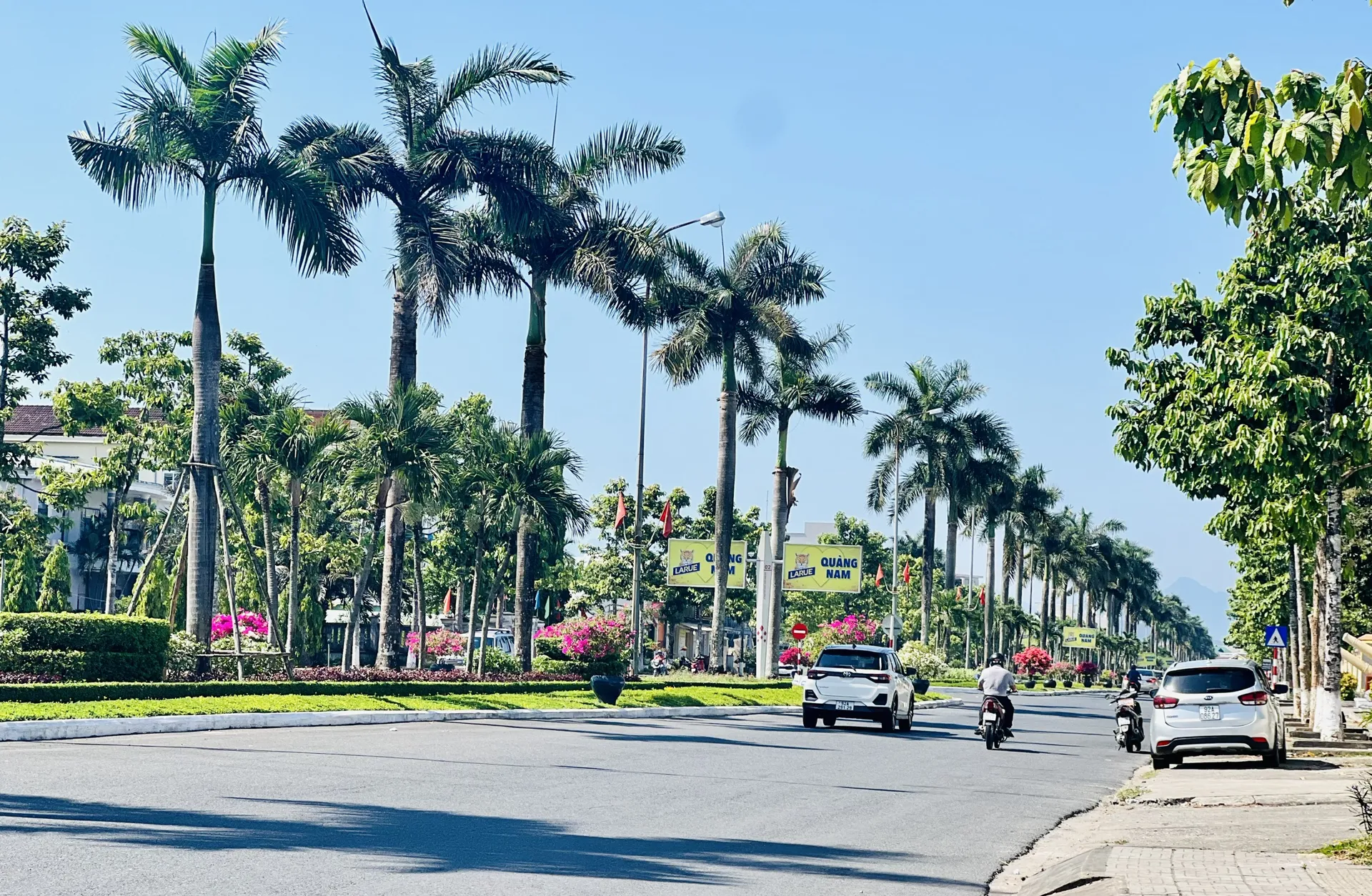 Hình ảnh 1
