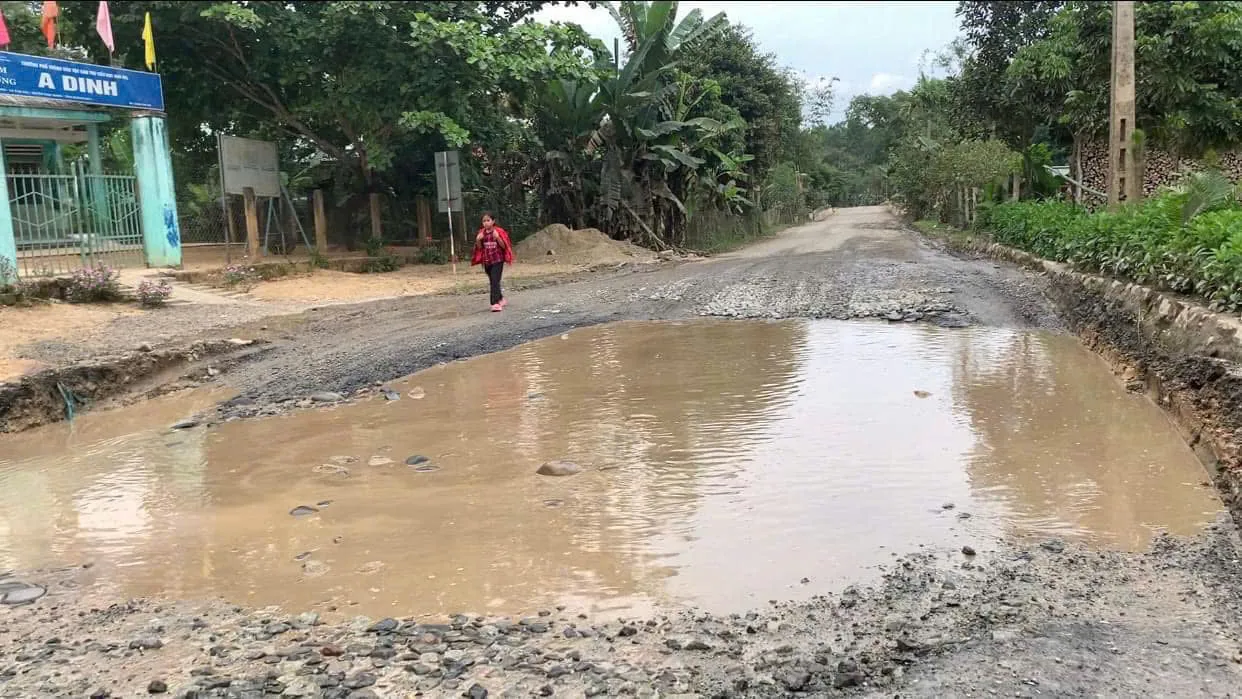 Hình ảnh 2