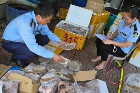 Quảng Bình: phát hiện gần 270 kg thực phẩm không rõ nguồn gốc
