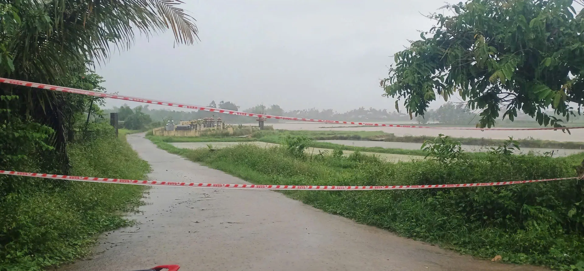 Hình ảnh 5