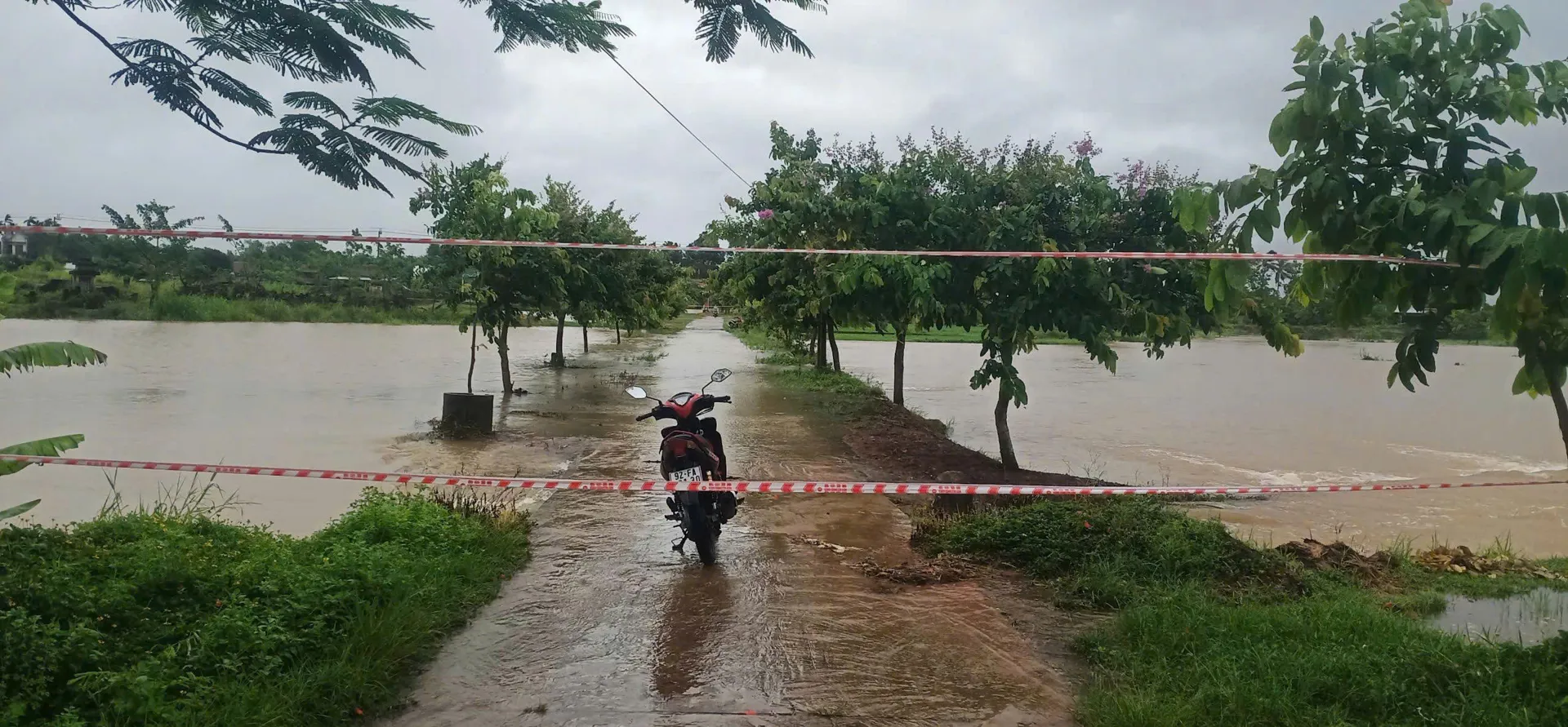 Hình ảnh 4