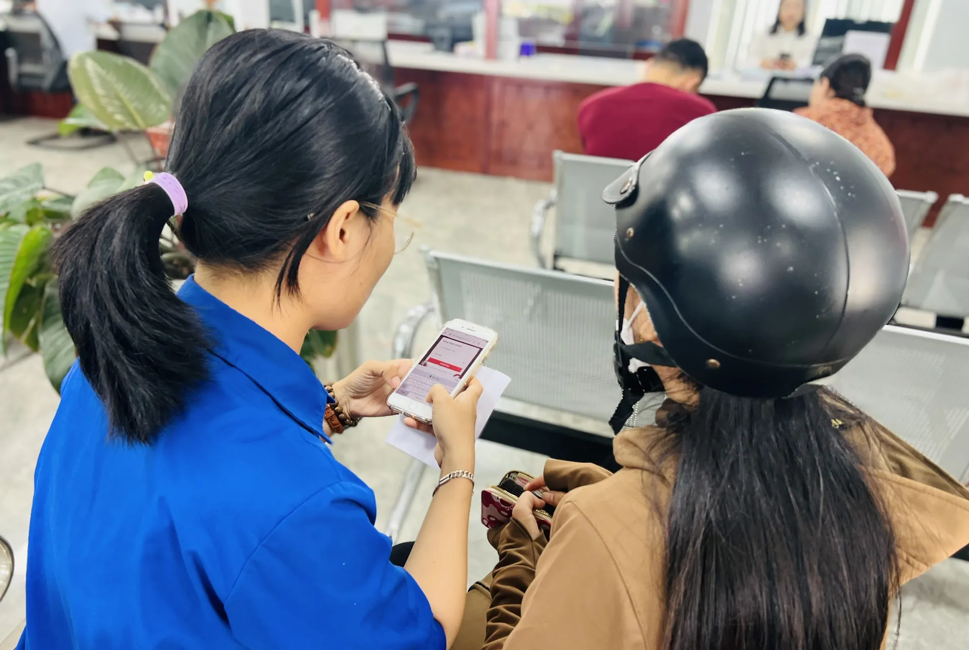 Hình ảnh 3