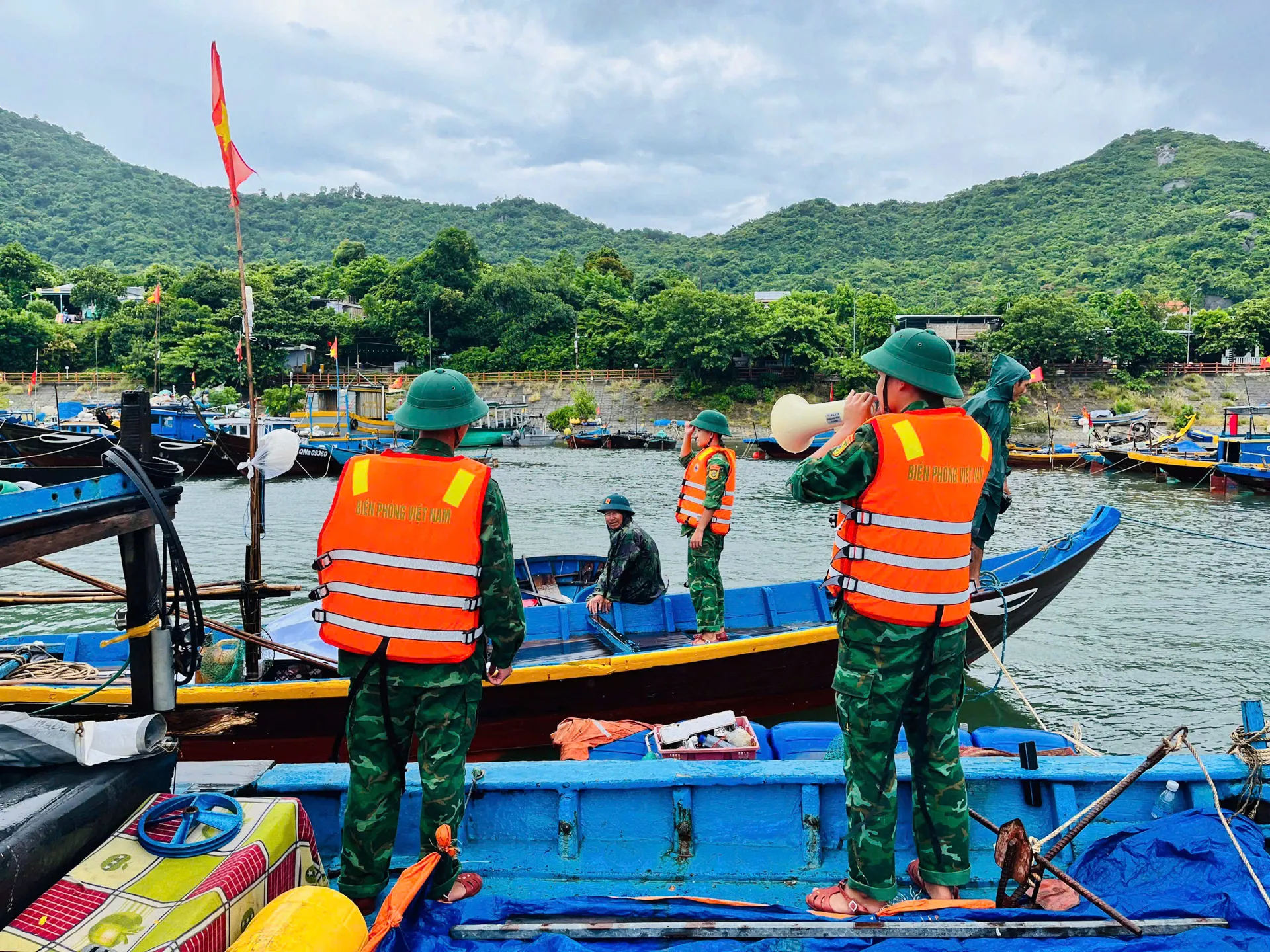 Hình ảnh 3