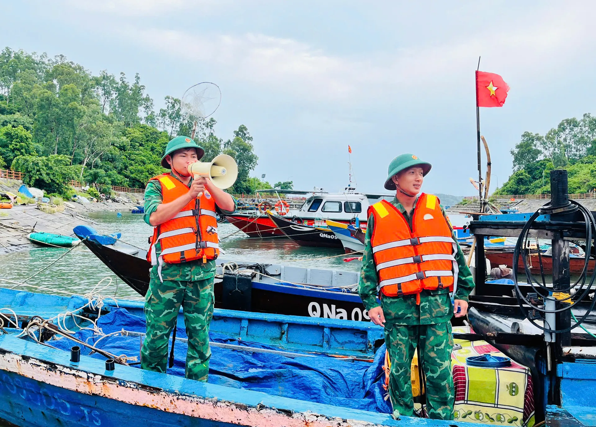 Hình ảnh 2