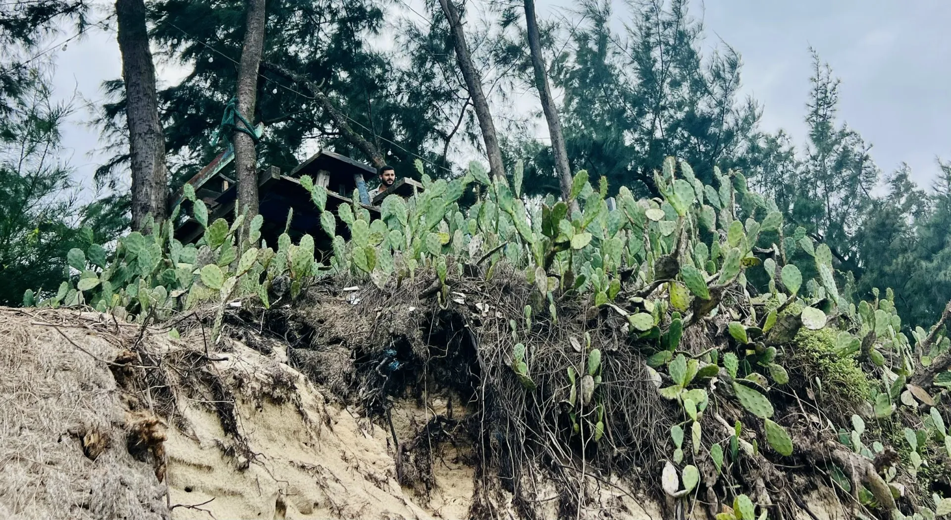 Hình ảnh 7